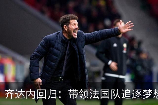 齐达内回归：带领法国队追逐梦想的足球旅程
